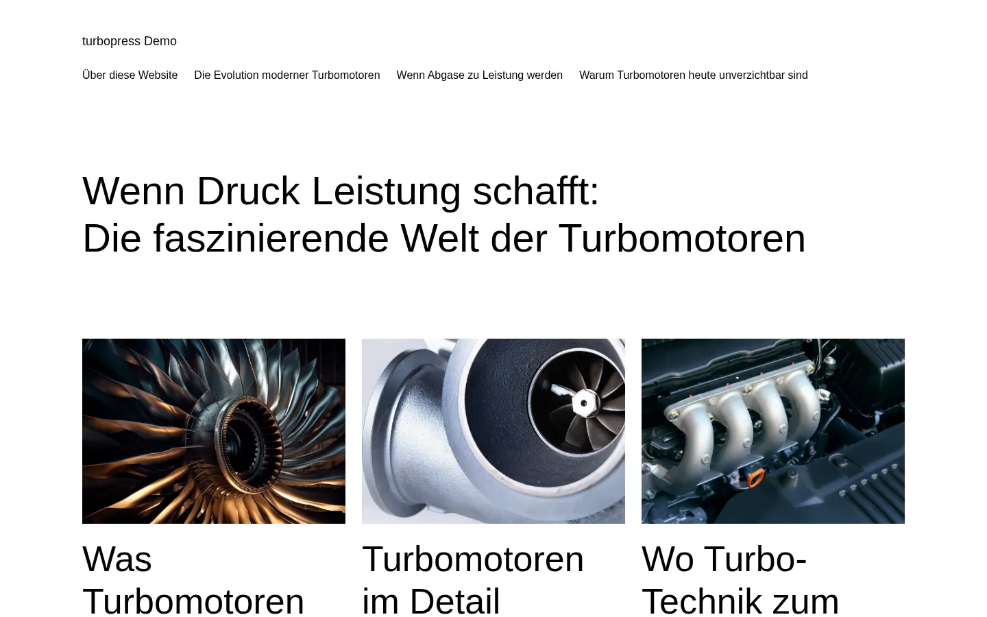Screenshot der geprüften Website https://demo.turbopress.de/