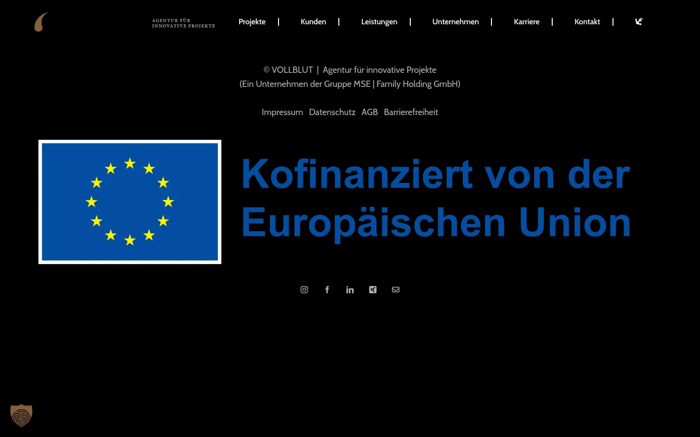 Screenshot der geprüften Website https://vollblut-agentur.de/